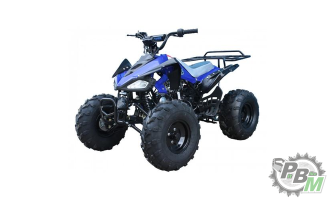 kvadrotsikl-tao-motor-cheetah-125-306335-1.46501c359e69f5f4aacc49c2ed685422.png