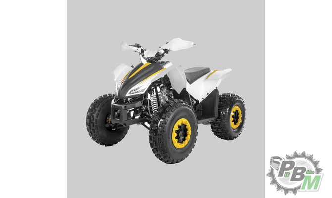 kvadrotsikl-tao-motor-coyote-125-142897-1.331f6890805fe512448cef977f86b1d6.png