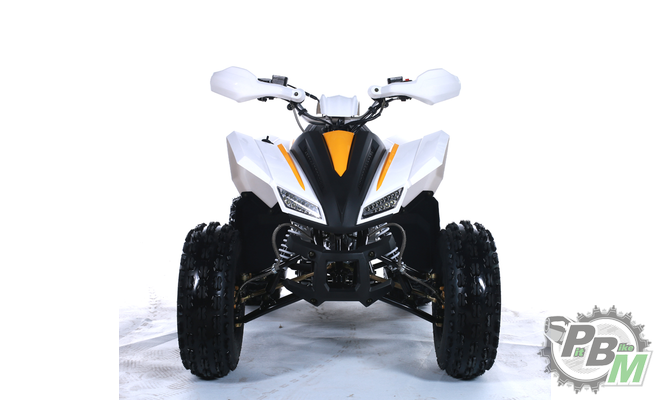 kvadrotsikl-tao-motor-coyote-125-142897-3.e44476630aa76065bd2ee09fa54cc4f3.png