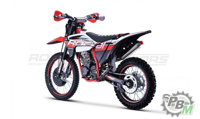 mototsikl-enduro-rockot-gs-7-tribute-250cc-172fmm-5-pr250-2118-303644-3.a562584978e117dcce6bd8a8d08386a1.png