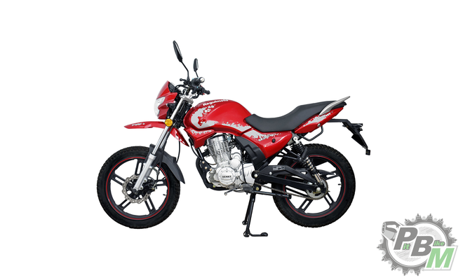 mototsikl-regulmoto-sk200-9-krasnyy-308380-1.df98165b7177925628a83dd15c7cc20d.png