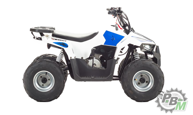 kvadrotsikl-tao-motor-mudhawk-110-142900-0.b0efdf4bdaa60ce2ca25c5ee05f208af.png