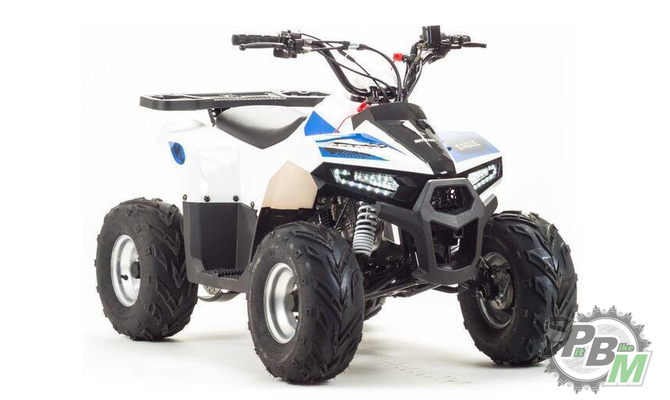 kvadrotsikl-tao-motor-mudhawk-110-142900-1.0a5476cbd75304ac7f224bedfe793f30.png