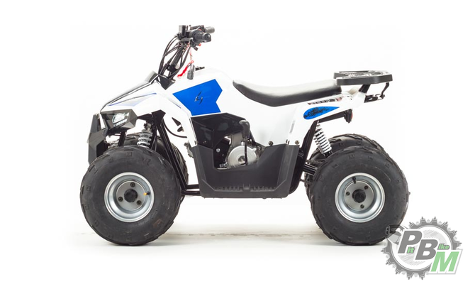 kvadrotsikl-tao-motor-mudhawk-110-142900-2.b0efdf4bdaa60ce2ca25c5ee05f208af.png